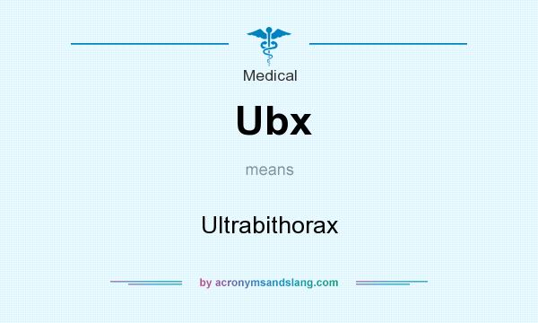 What does Ubx mean? It stands for Ultrabithorax