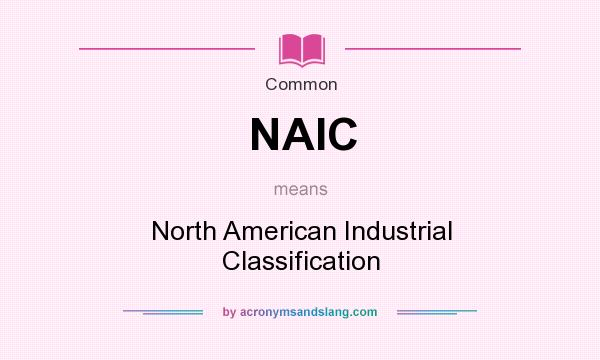 What does NAIC mean? It stands for North American Industrial Classification