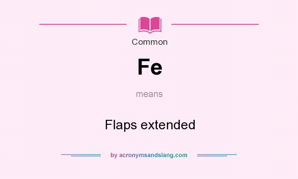 What does Fe mean? It stands for Flaps extended