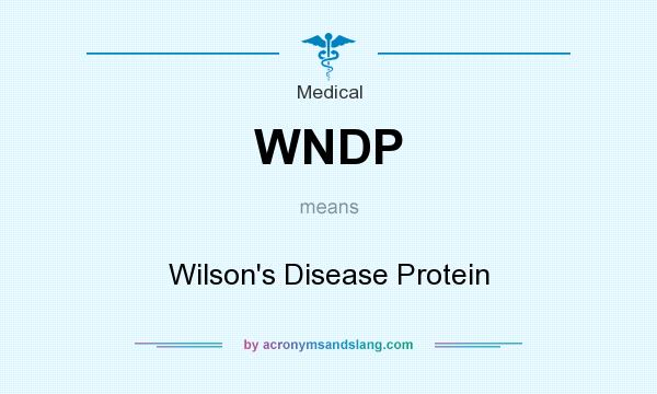 What does WNDP mean? It stands for Wilson`s Disease Protein