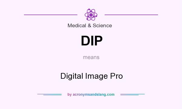 What does DIP mean? It stands for Digital Image Pro