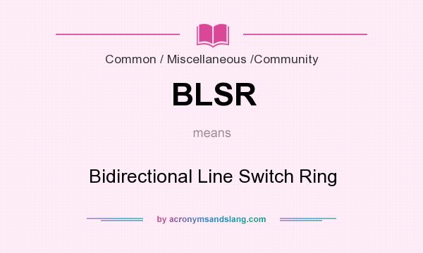 What does BLSR mean? It stands for Bidirectional Line Switch Ring