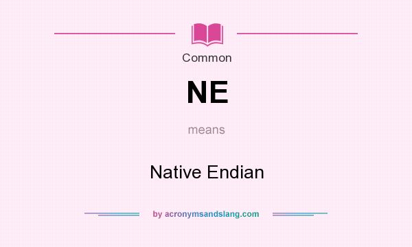 What does NE mean? It stands for Native Endian