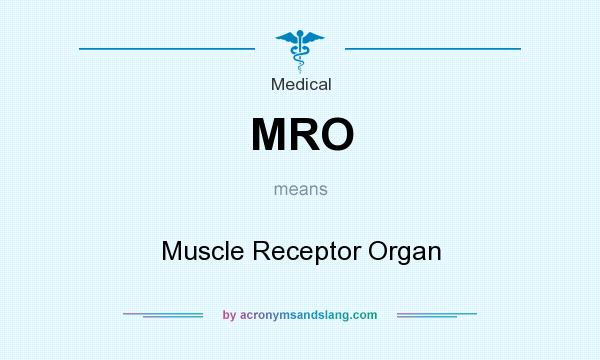 What does MRO mean? It stands for Muscle Receptor Organ