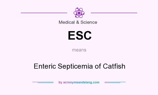What does ESC mean? It stands for Enteric Septicemia of Catfish