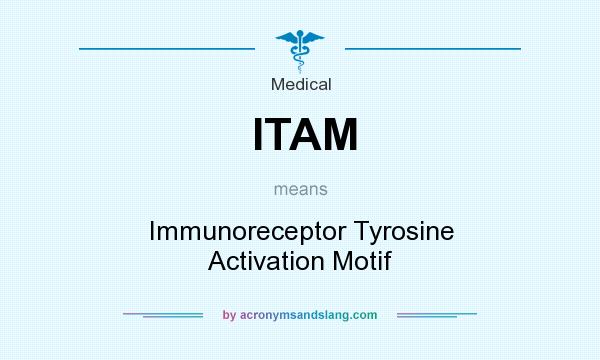 What does ITAM mean? It stands for Immunoreceptor Tyrosine Activation Motif