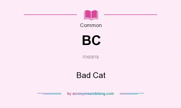 What does BC mean? It stands for Bad Cat