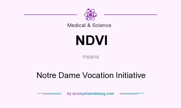 What does NDVI mean? It stands for Notre Dame Vocation Initiative