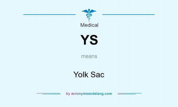 What does YS mean? It stands for Yolk Sac