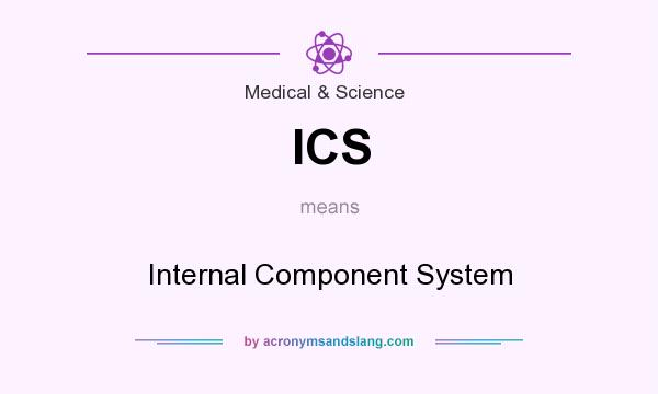 What does ICS mean? It stands for Internal Component System