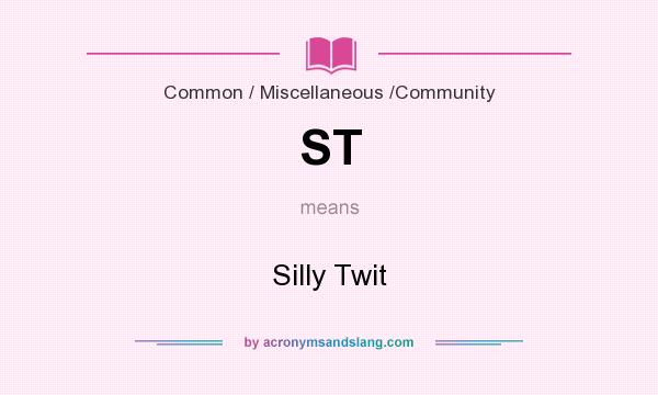What does ST mean? It stands for Silly Twit