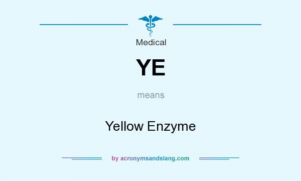 What does YE mean? It stands for Yellow Enzyme
