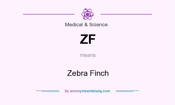 What does ZF mean? It stands for Zebra Finch