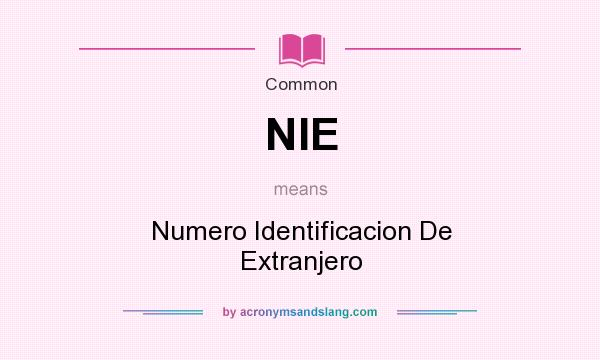 What does NIE mean? It stands for Numero Identificacion De Extranjero