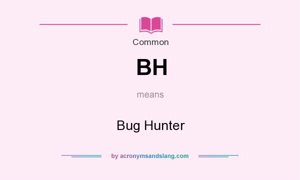 What does BH mean? It stands for Bug Hunter