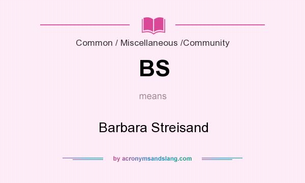 What does BS mean? It stands for Barbara Streisand