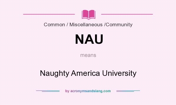 What does NAU mean? It stands for Naughty America University