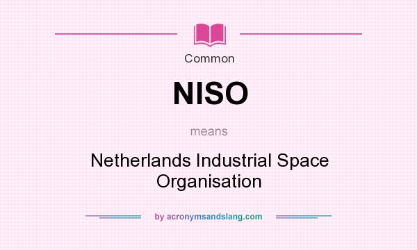 What does NISO mean? It stands for Netherlands Industrial Space Organisation