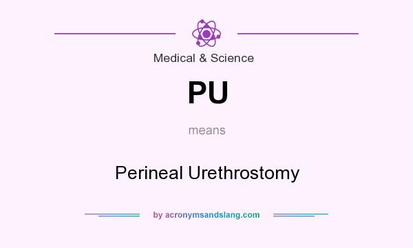What does PU mean? It stands for Perineal Urethrostomy