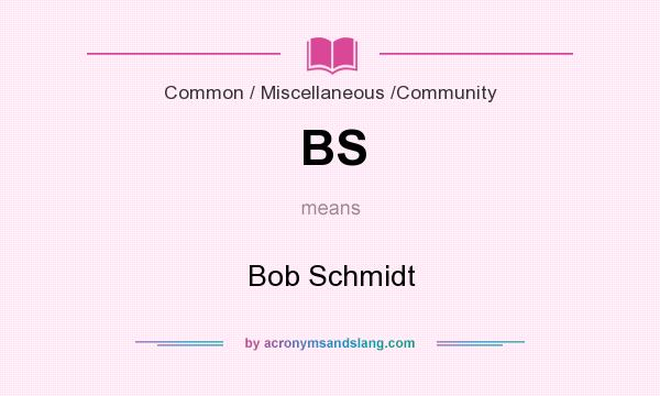 What does BS mean? It stands for Bob Schmidt