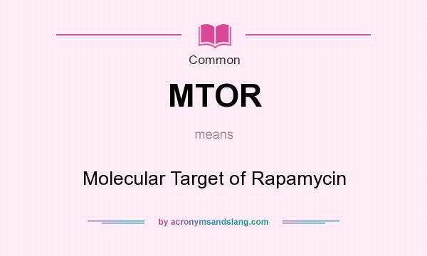 What does MTOR mean? It stands for Molecular Target of Rapamycin