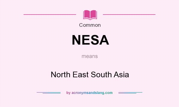 What does NESA mean? It stands for North East South Asia