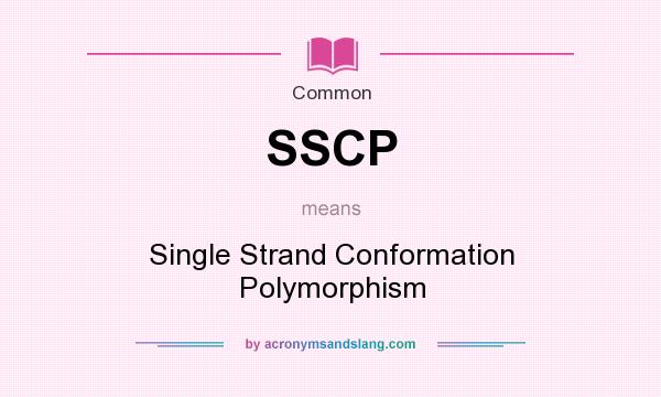 What does SSCP mean? It stands for Single Strand Conformation Polymorphism