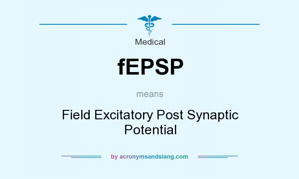 What does fEPSP mean? It stands for Field Excitatory Post Synaptic Potential