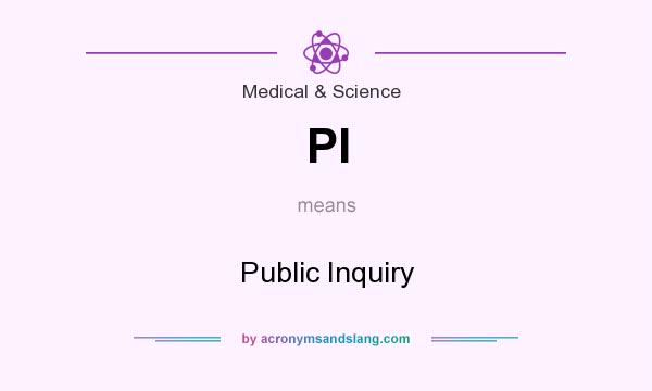 What does PI mean? It stands for Public Inquiry