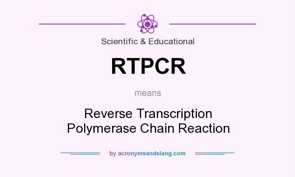 What does RTPCR mean? It stands for Reverse Transcription Polymerase Chain Reaction