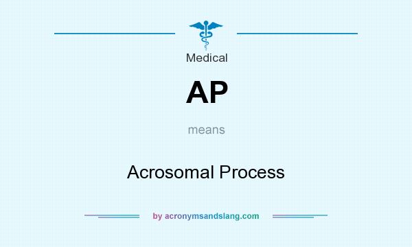 What does AP mean? It stands for Acrosomal Process