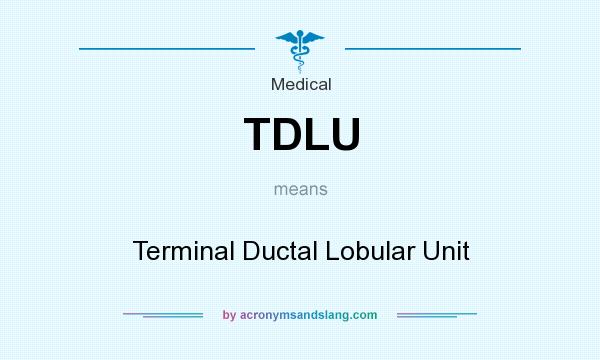 What does TDLU mean? It stands for Terminal Ductal Lobular Unit