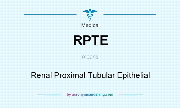 What does RPTE mean? It stands for Renal Proximal Tubular Epithelial