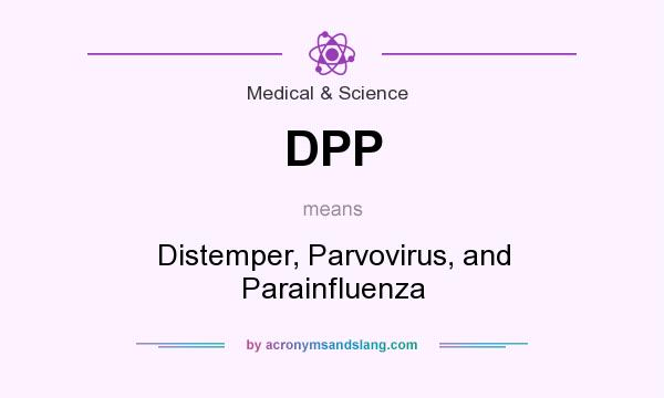 What does DPP mean? It stands for Distemper, Parvovirus, and Parainfluenza