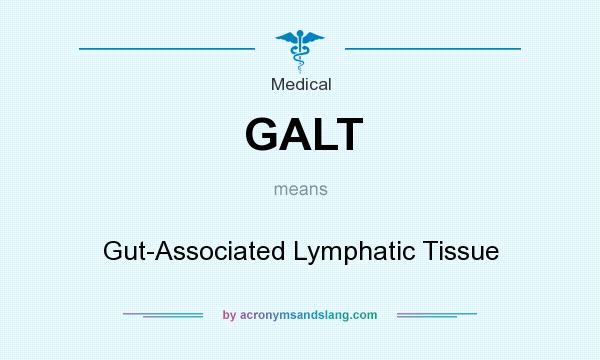 What does GALT mean? It stands for Gut-Associated Lymphatic Tissue