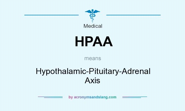 What does HPAA mean? It stands for Hypothalamic-Pituitary-Adrenal Axis