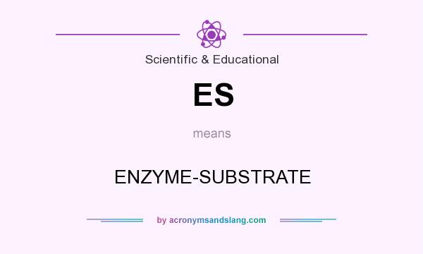 What does ES mean? It stands for ENZYME-SUBSTRATE