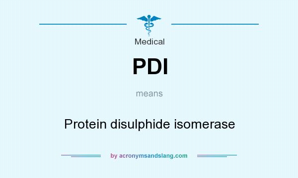 What does PDI mean? It stands for Protein disulphide isomerase