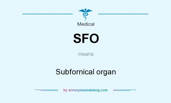 What does SFO mean? It stands for Subfornical organ