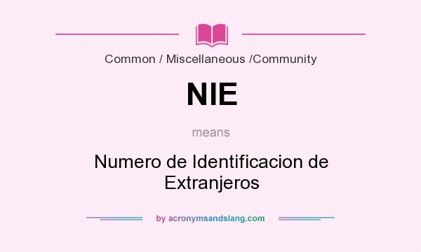 What does NIE mean? It stands for Numero de Identificacion de Extranjeros