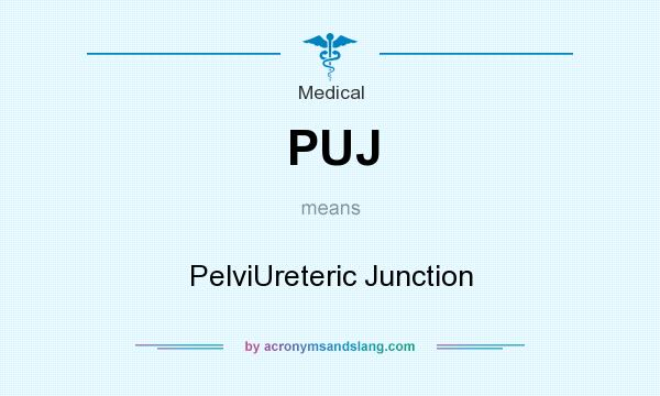 What does PUJ mean? It stands for PelviUreteric Junction