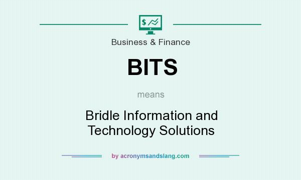 What does BITS mean? It stands for Bridle Information and Technology Solutions