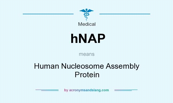 What does hNAP mean? It stands for Human Nucleosome Assembly Protein