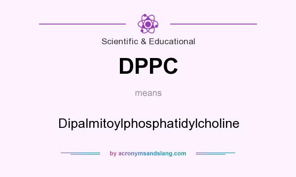 What does DPPC mean? It stands for Dipalmitoylphosphatidylcholine