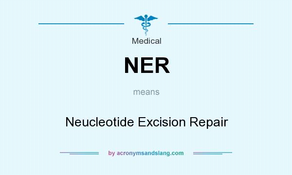 What does NER mean? It stands for Neucleotide Excision Repair