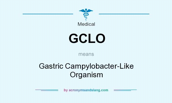 What does GCLO mean? It stands for Gastric Campylobacter-Like Organism