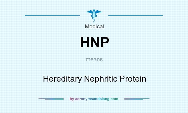 What does HNP mean? It stands for Hereditary Nephritic Protein