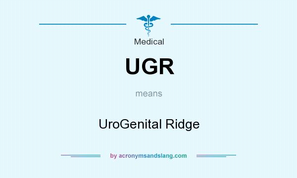 What does UGR mean? It stands for UroGenital Ridge