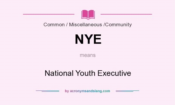 What does NYE mean? It stands for National Youth Executive