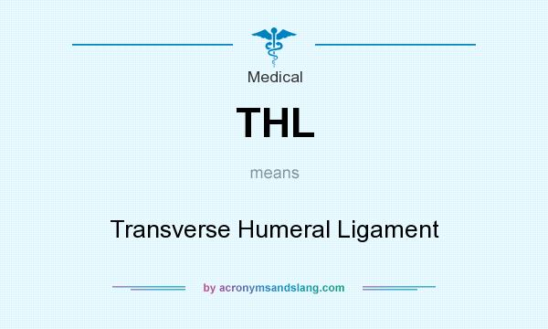 What does THL mean? It stands for Transverse Humeral Ligament